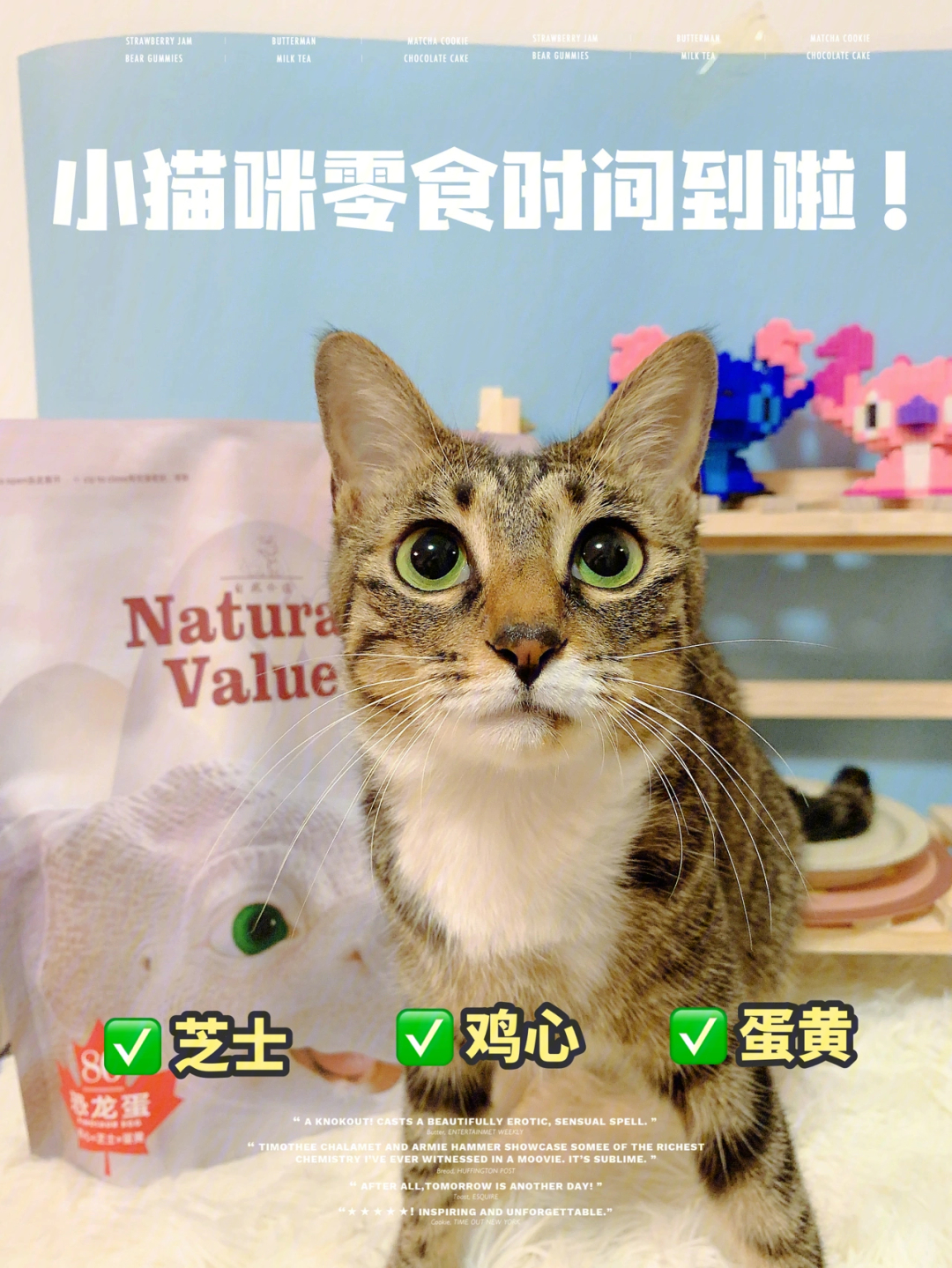 小猫乐翻天，做菜游戏！