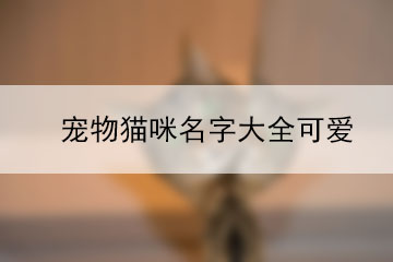 宠物可爱大全名字两个字_宠物可爱名字大全_宠物可爱大全名字女孩