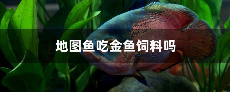 斗战神贪食兔妖_贪食鱼_鱼贪食而不见钩