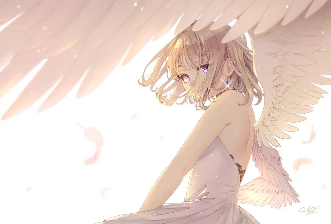天使之羽游戏肉图_天使羽毛是什么意思_天使羽翼是哪里的品牌