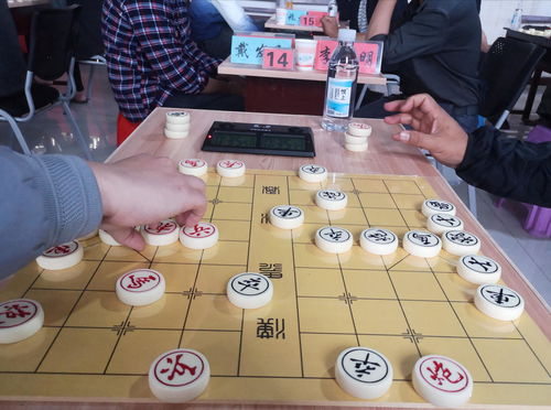 中国象棋大战：AlphaGo对阵杨威