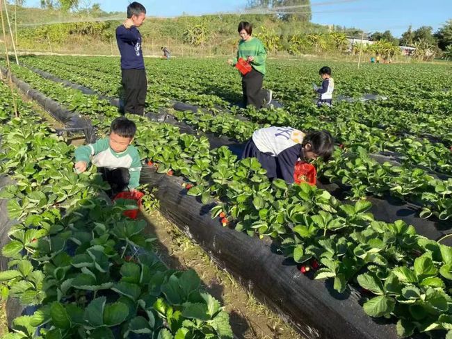 农场类游戏_经营农场类游戏_农场类游戏推荐