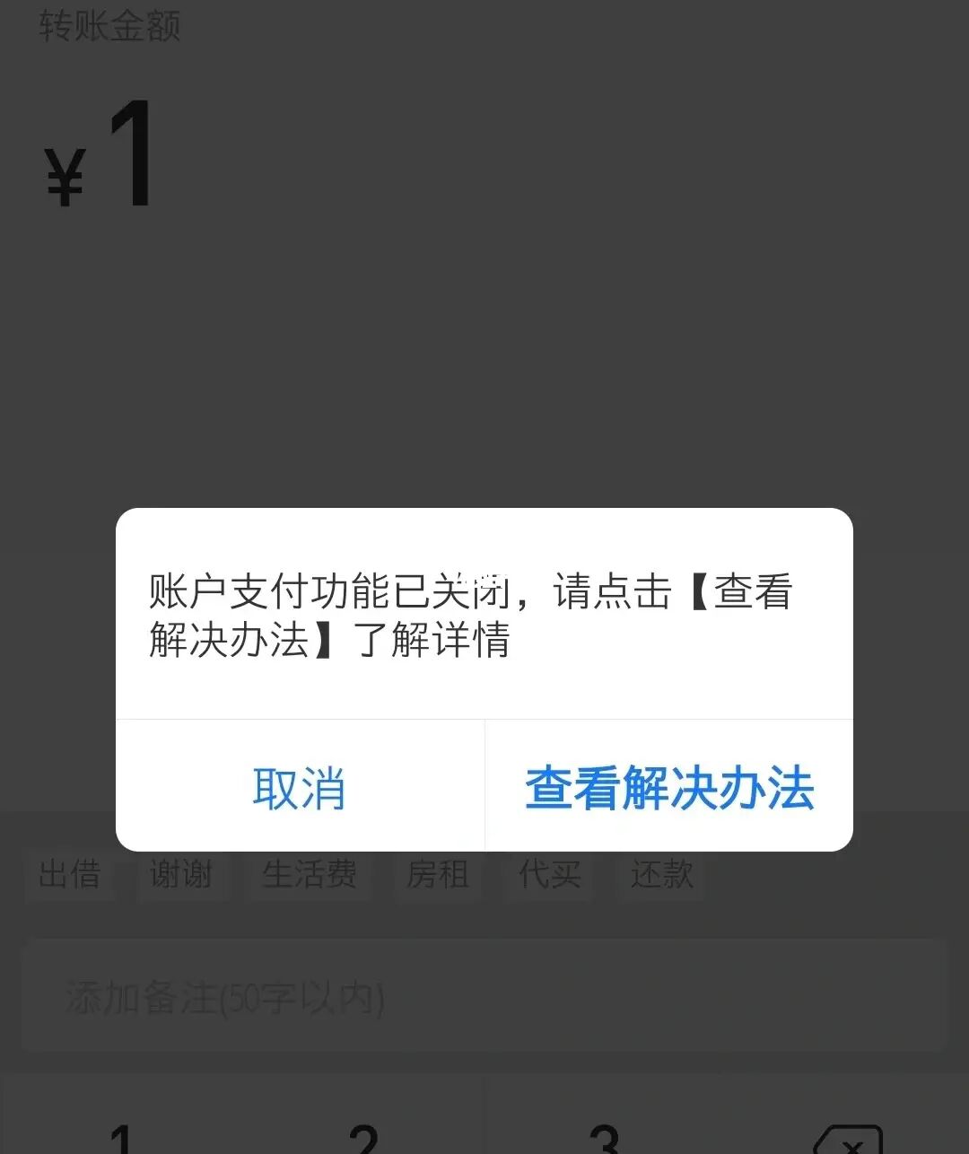 支付功能关闭不予恢复_支付功能关闭多久恢复_关闭恢复支付功能怎么关闭