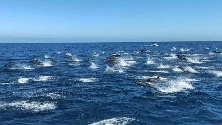 神秘海域3_海域神秘鲛人小说在线阅读_海域神秘鲛人小说免费阅读