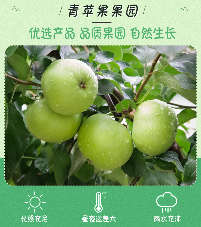 苹果资源库在什么地方_apple资源_青苹果资源