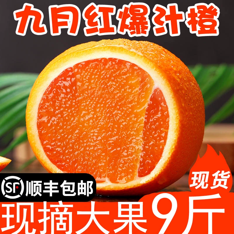 橙瓜官网——独享购物天堂，让你欲罢不能
