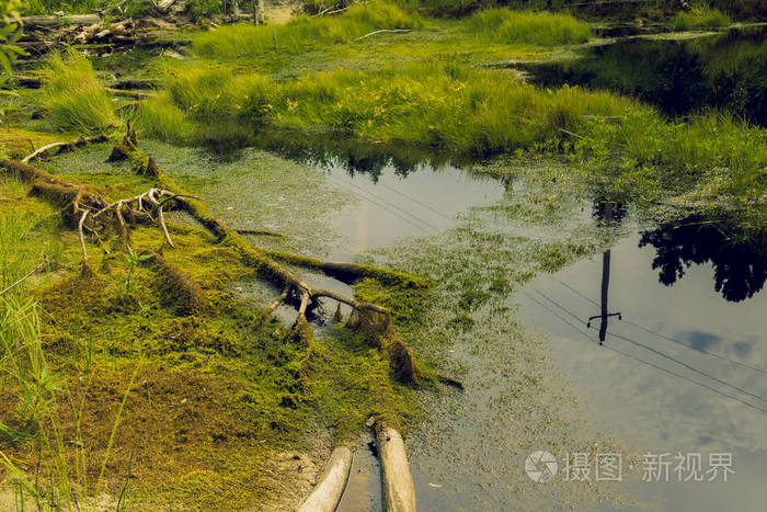 重泥挽马：颠覆传统，冲破界限！滨海国际（微）电影节参赛力作