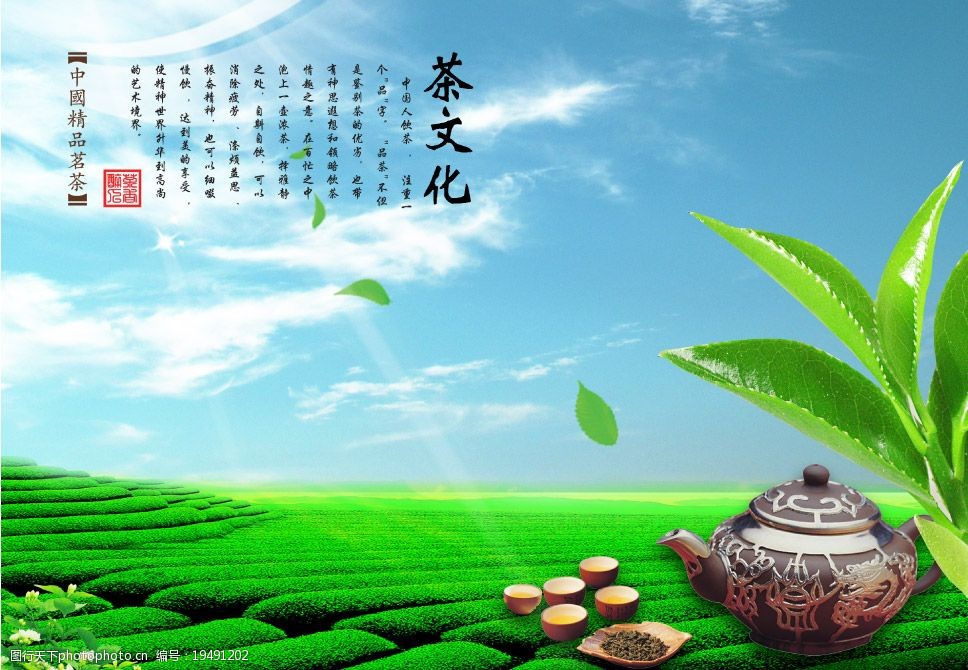 全新约茶app，畅享茶文化分享