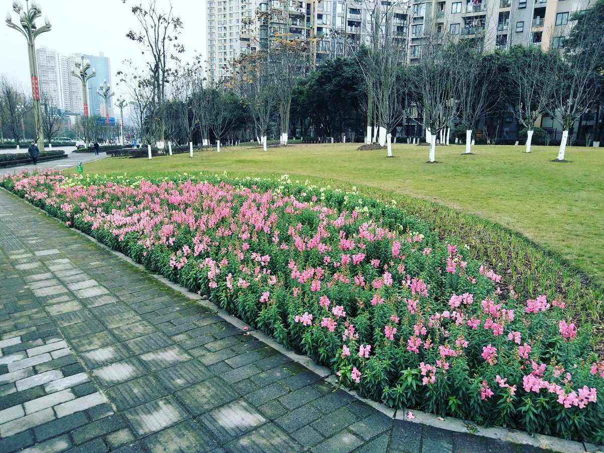 草花游戏官网_草花游戏_草花游戏中心官网