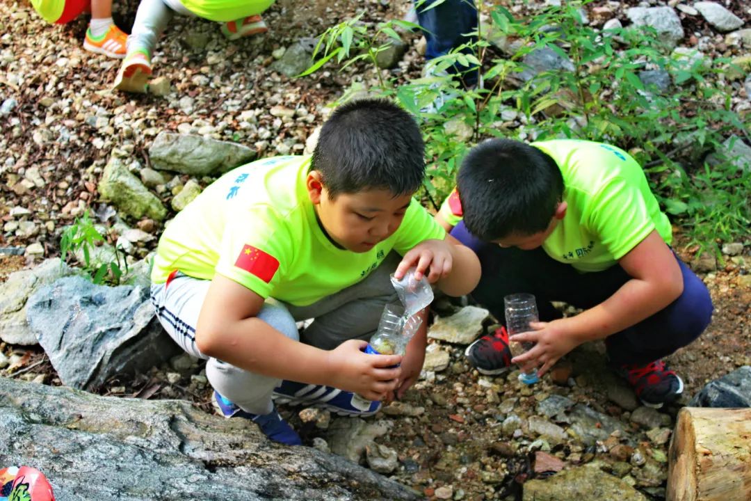 生存辐射模式有什么用_辐射4生存模式_辐射生存模式