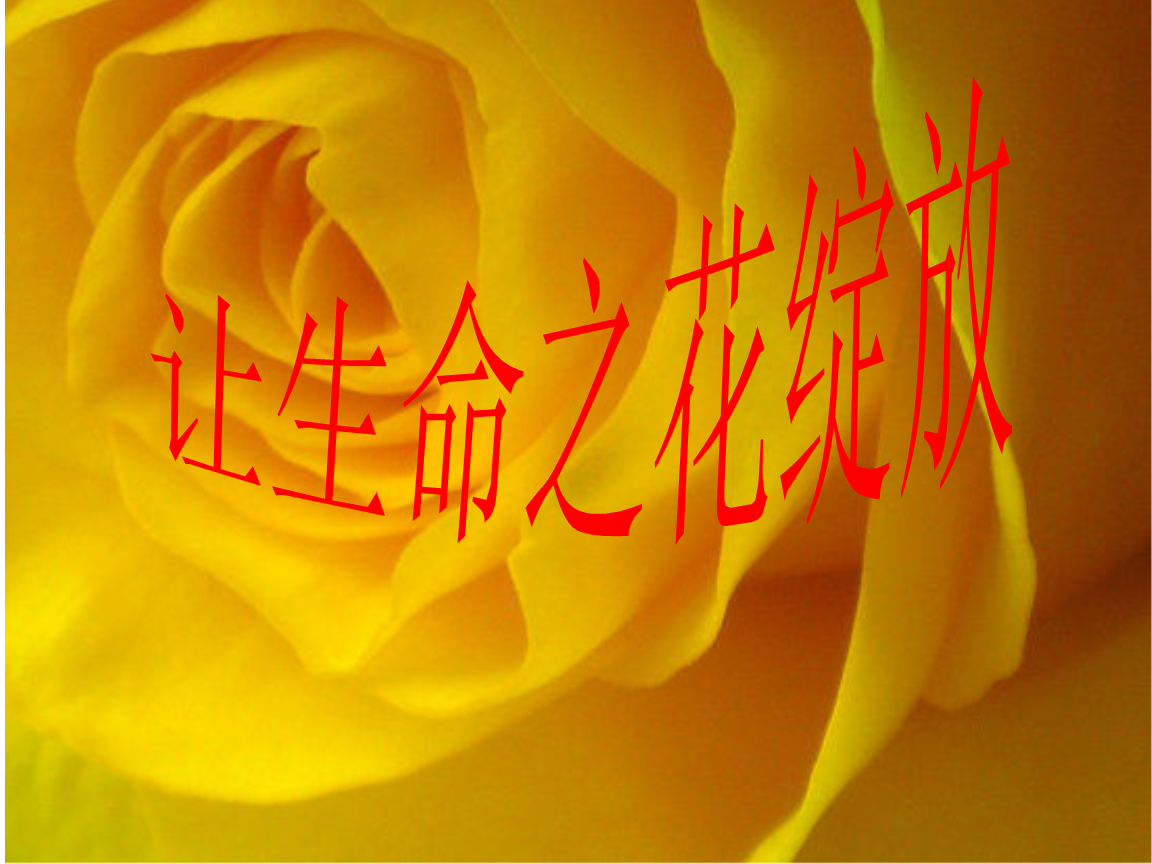 生命种子_种子生命力_种子生命力顽强的诗句