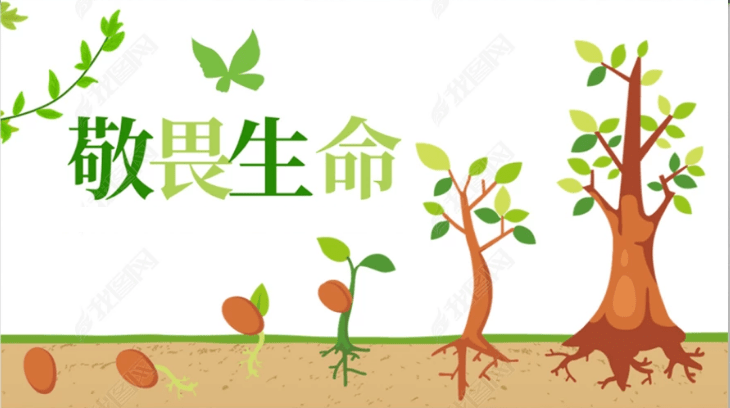 种子生命力_生命种子_种子生命力顽强的诗句
