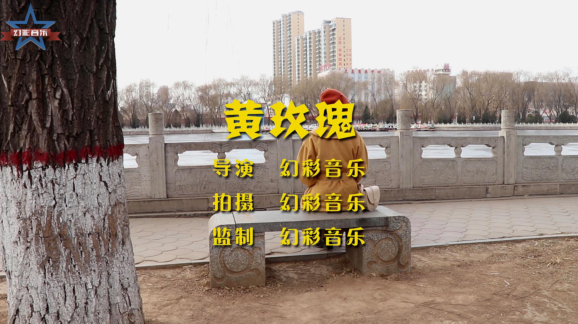 心里的花我想要带你回家什么歌_心里的花我想要带回家歌词_想要回家是什么歌