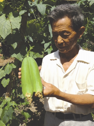 麻豆免费app，香蕉草莓丝瓜全免