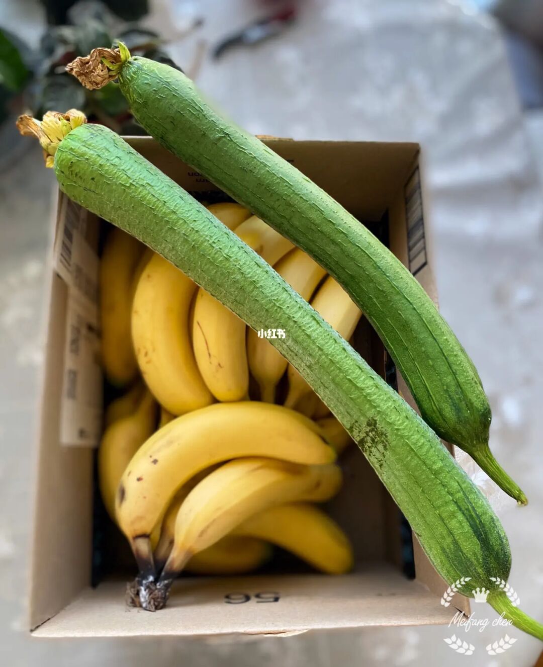 麻豆香蕉草莓丝瓜app无限免费_麻豆香蕉草莓丝瓜app无限免费_麻豆香蕉草莓丝瓜app无限免费