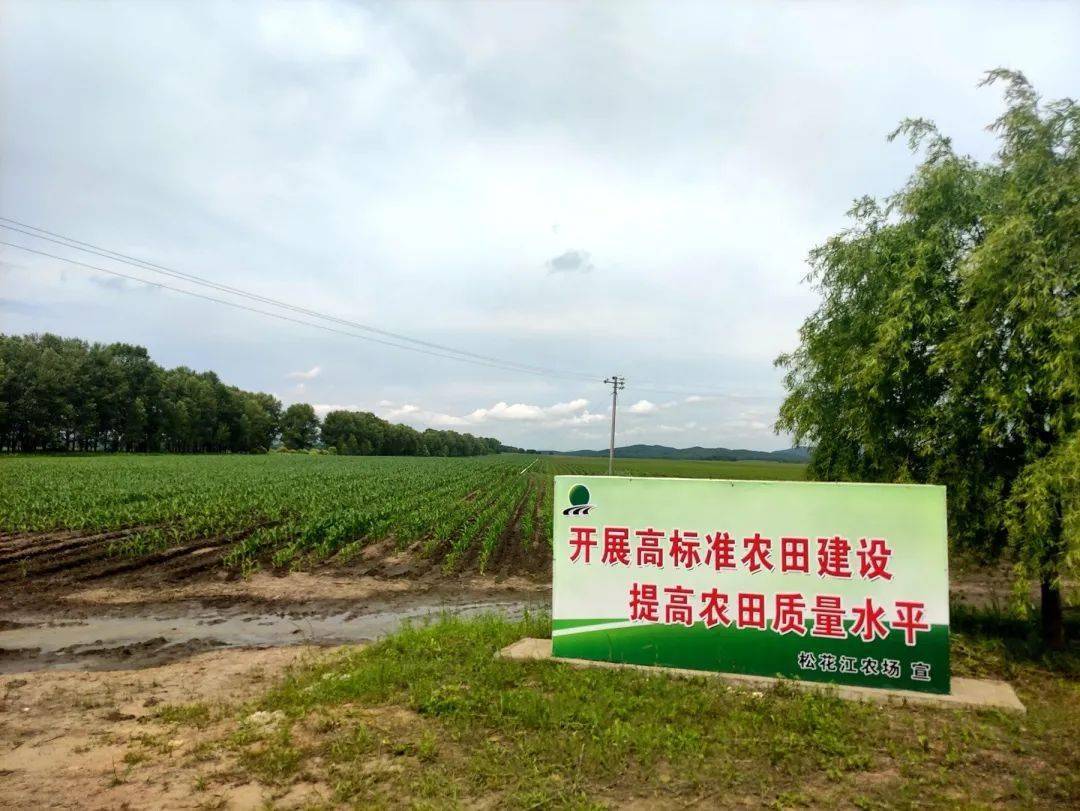 邻居牧村实，惊艳我眼