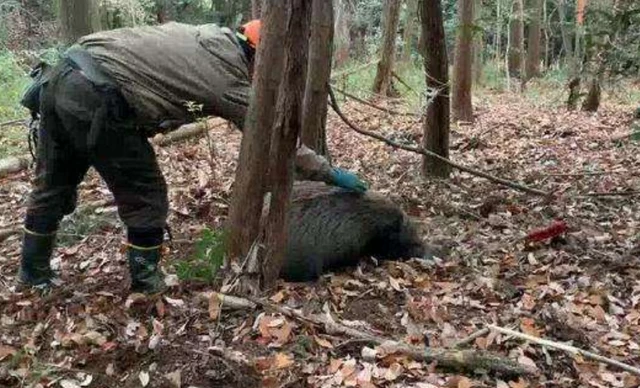 死亡狩猎震撼登场！滨海国际（微）电影节参赛力作