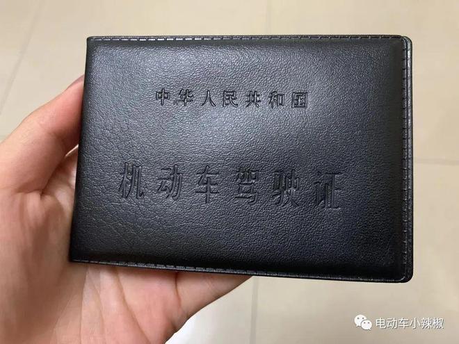 车震魔力：追求刺激浪漫的冲动