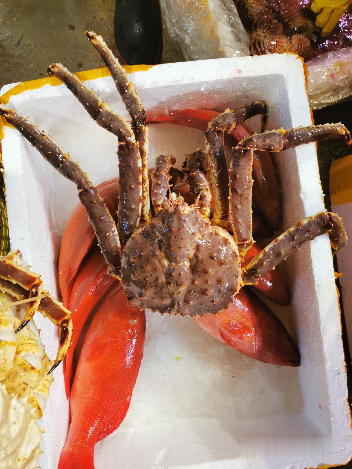 海底最厉害的螃蟹代售