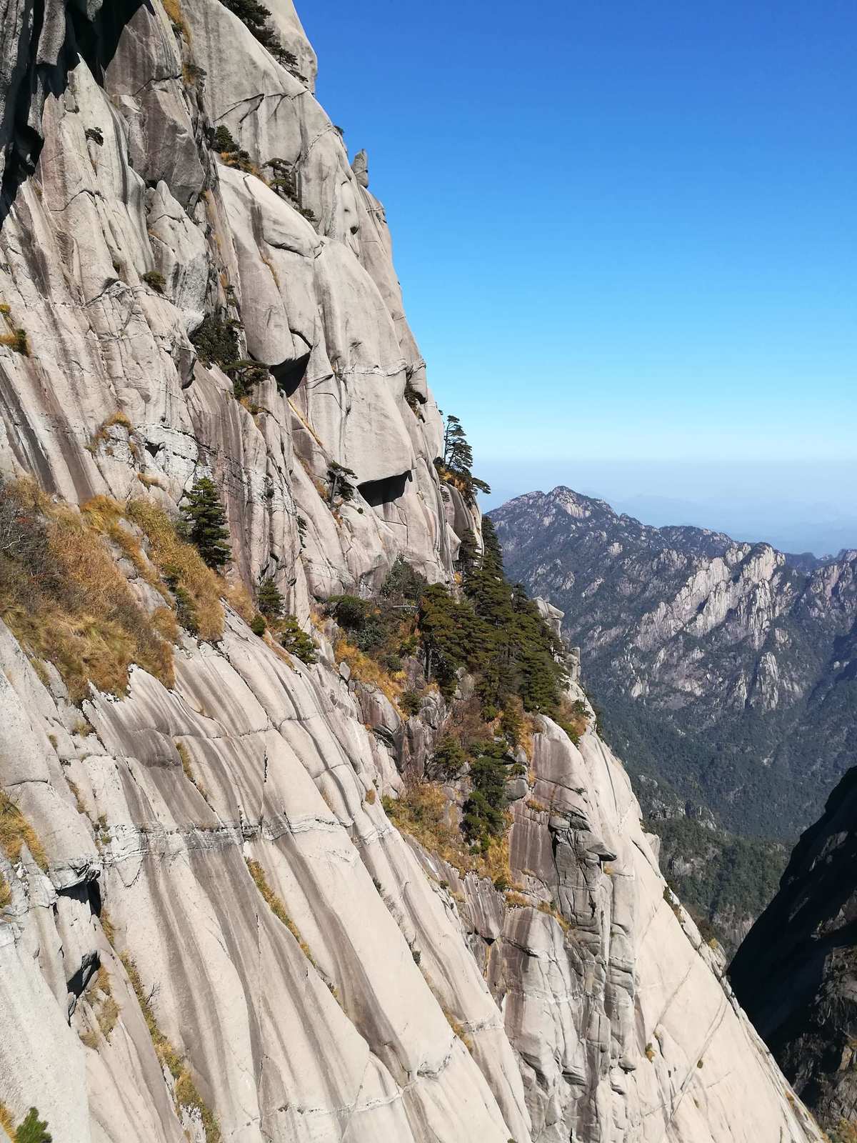 红图片壁纸图片大全_图片壁纸背景红网高清_网红图片壁纸背景图片