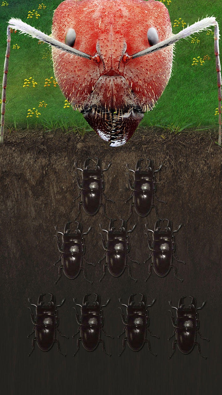 地下蚁国游戏下载_地下蚁国app_地下蚁国下载安装