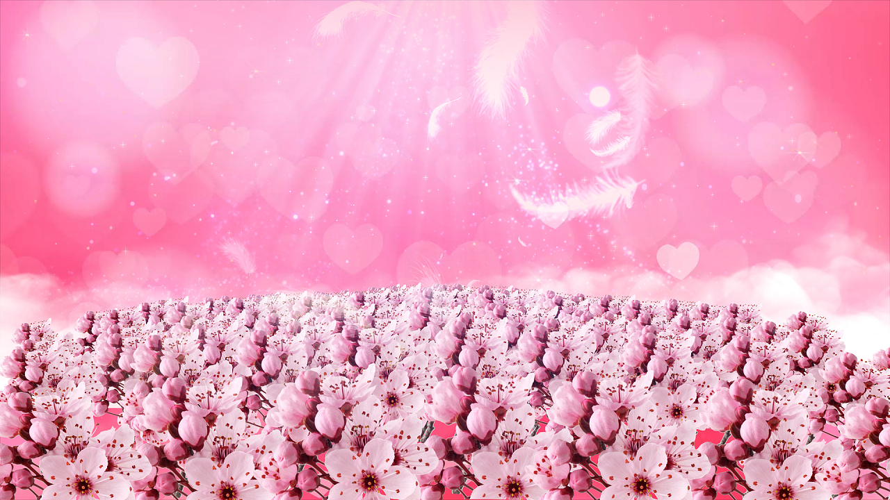 樱花美女直播_樱花美女直播_樱花美女直播