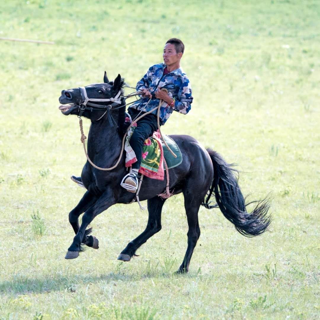 骑马手机单机游戏-极速驰骋 草原风暴 驰骋自由