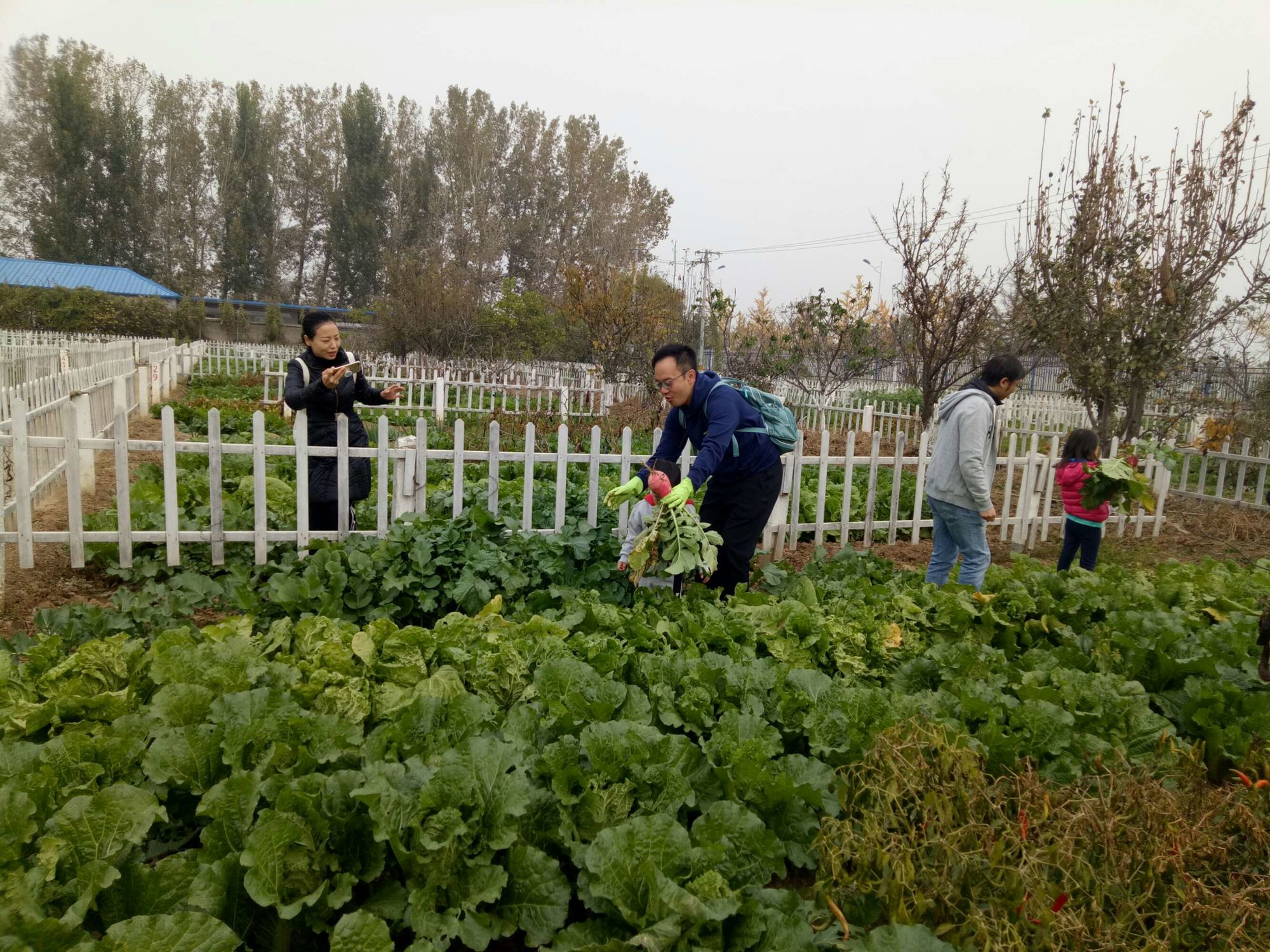 恐怖游戏农场老头攻略_农场游戏有个老头_手机游戏农场老头叫什么