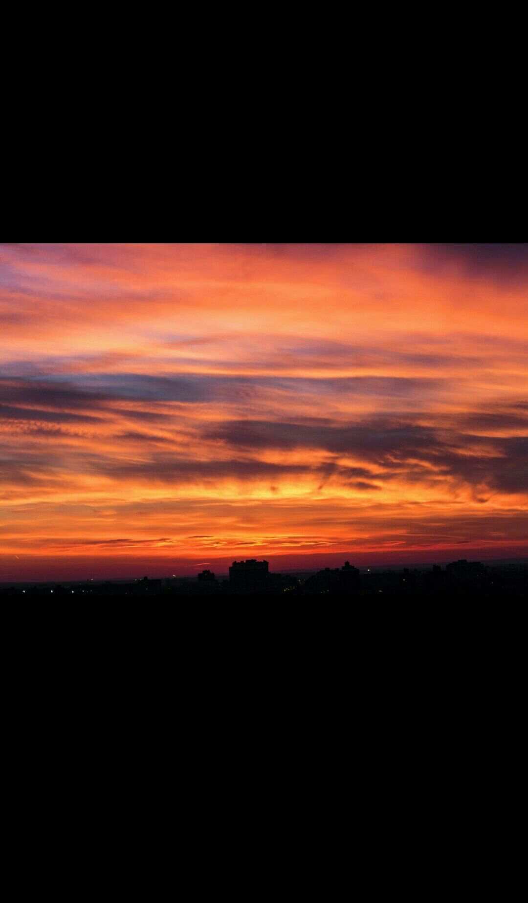 向晚晚_向晚_向晚与陈景尧的结局