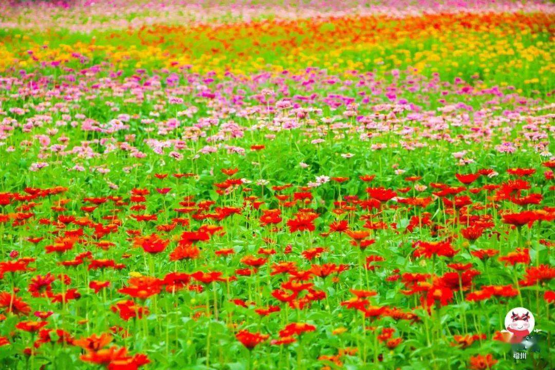 季春时节是什么意思_季春时节_季节时令是什么意思