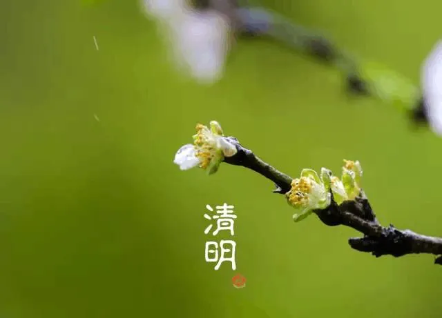 二十四节气表顺口溜-中国24节气，从春到夏到秋，你知道哪个节