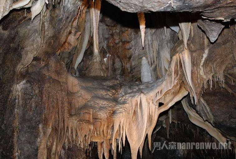 哥布林探求-哥布林探险：绿意森林、鬼魅洞穴、危险火山