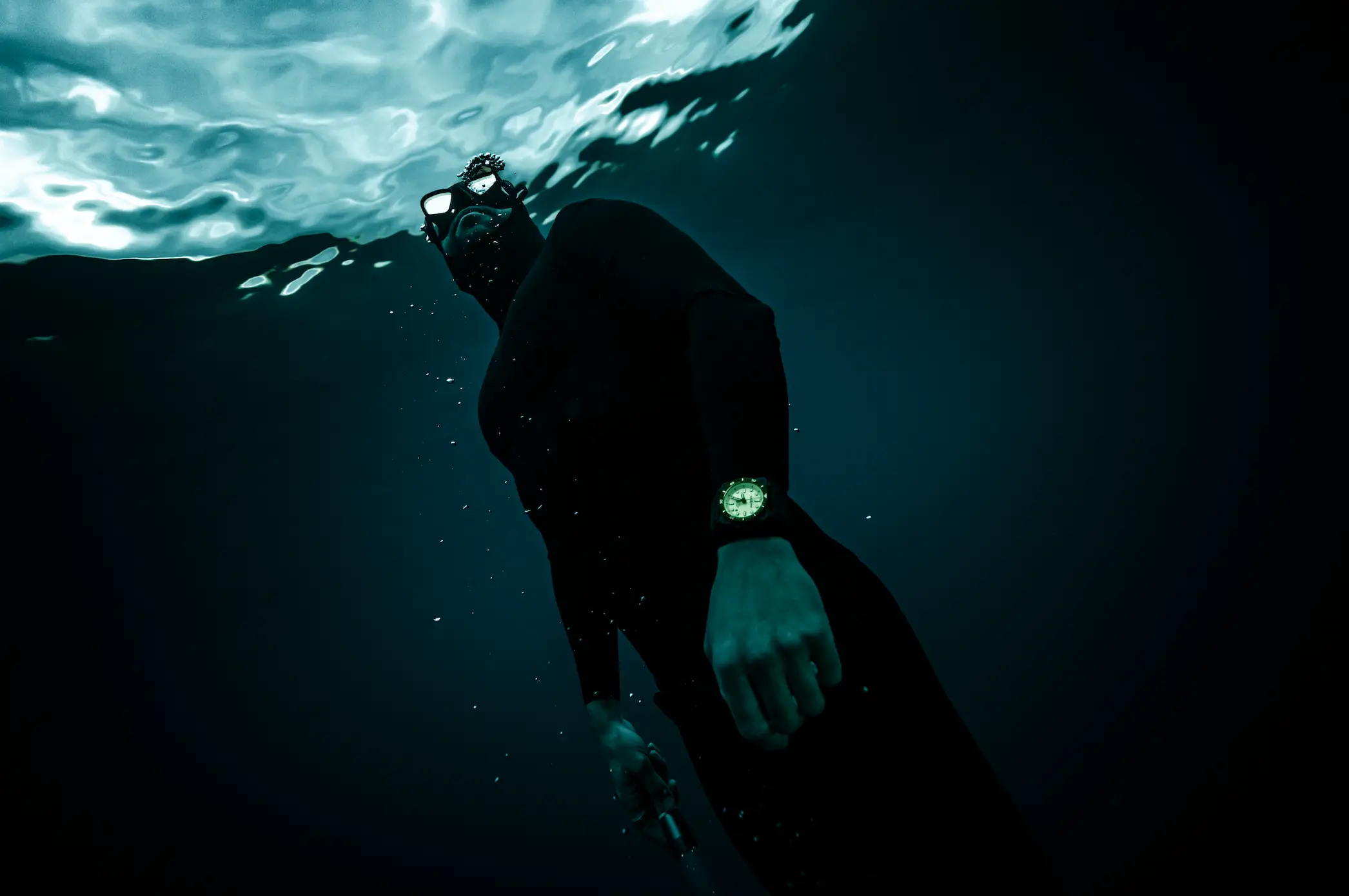 揭秘深海神秘生物巴劳鱵，你绝对没见过的光芒世界