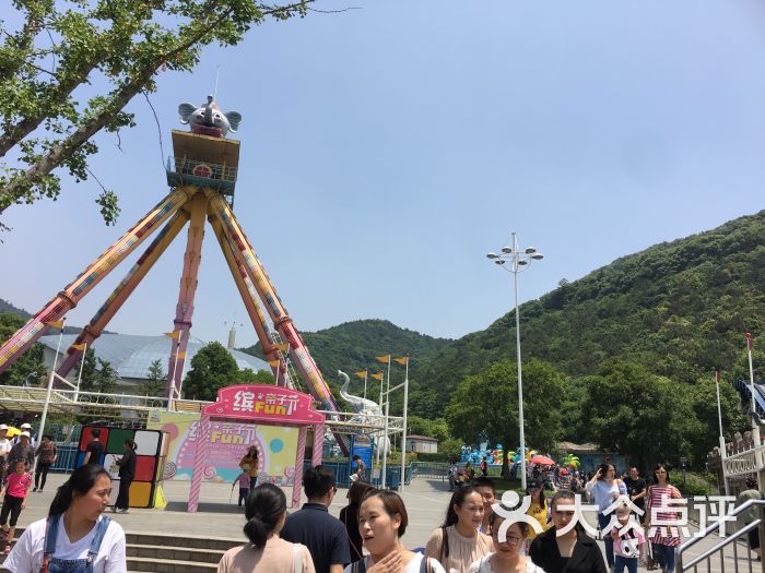 疯狂动物园手机版_疯狂动物园正版手游_手机上疯狂动物园游戏