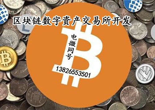 tokenpackage钱包_钱包token哪个平台好_tokenpocket钱包特点