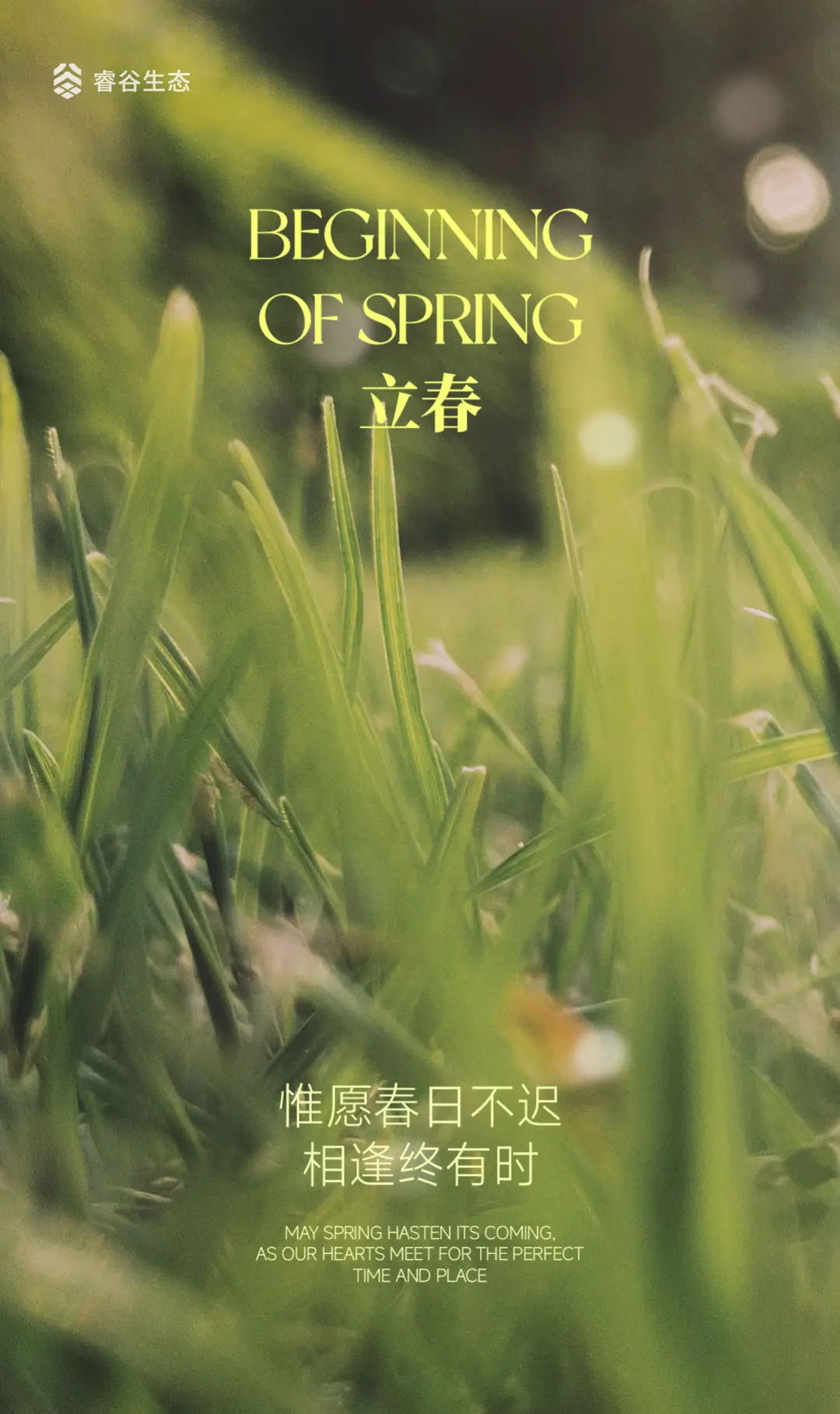 炼黑龙怎么打_炼黑龙和黑龙_炼黑龙