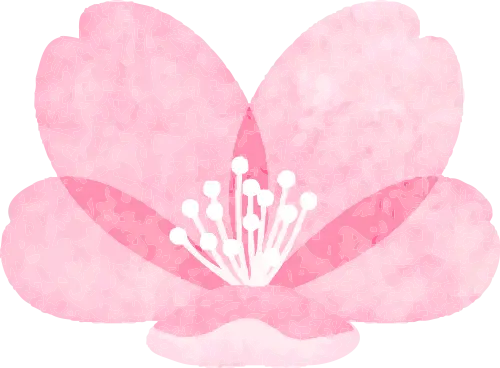 coomodel三浦按针_三浦按针_三浦按针日语