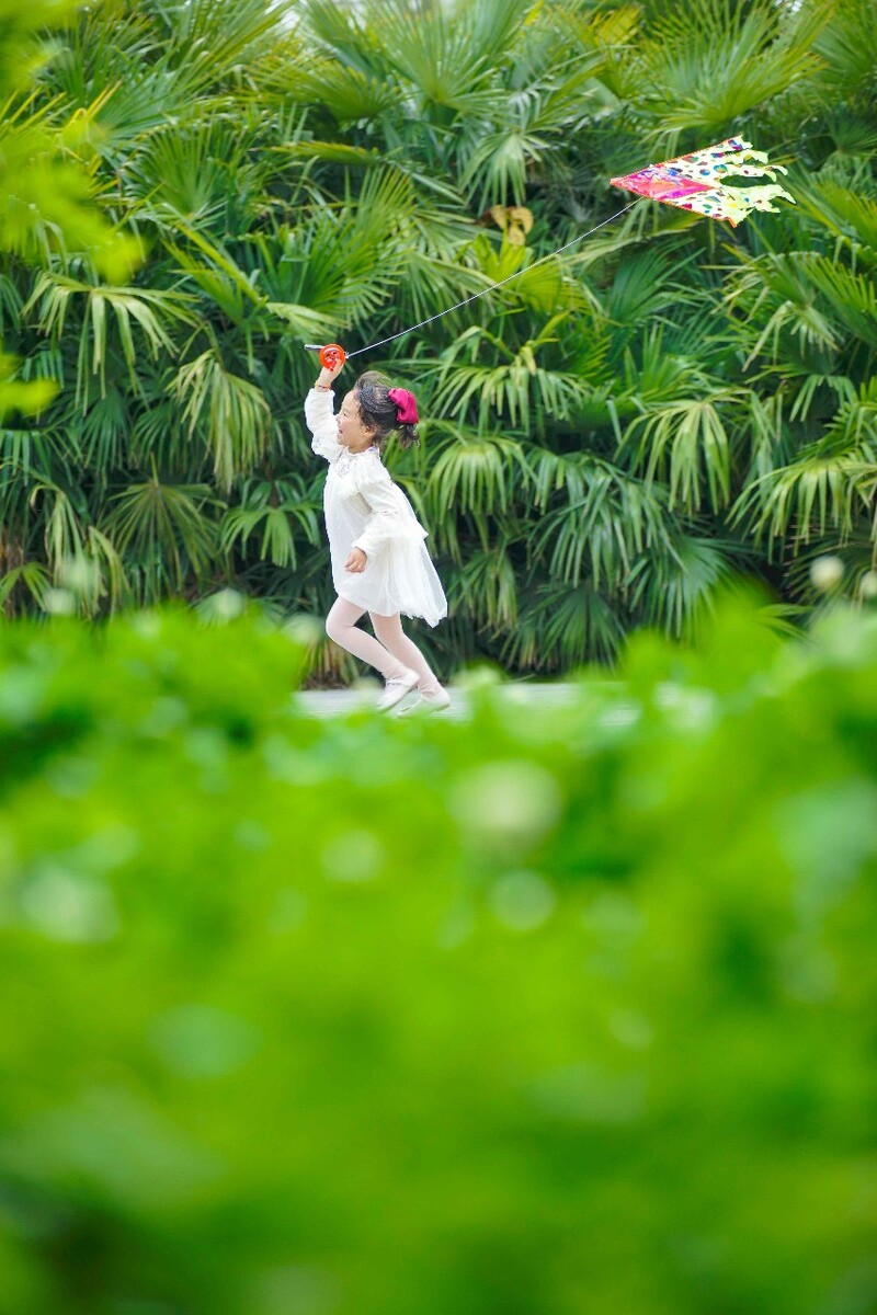 七白散可以吃吗_散白是什么_散白