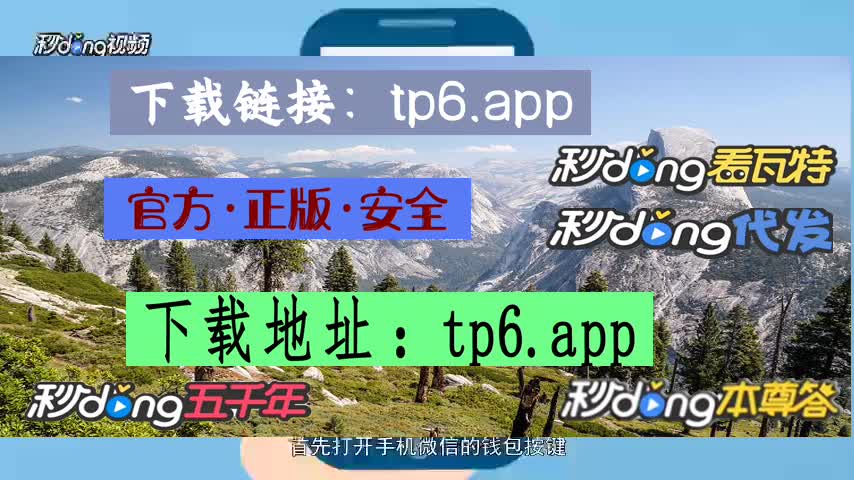锐意买相机付款后发现没有货_tokenpocket最新版本发现那里什么都没有_路虎发现3lr3什么版本
