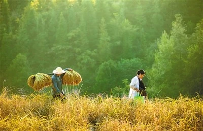 奥帕拉拉水公园攻略_水桥帕露西_奥帕拉拉水公园官网