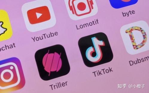 tokenpocket钱包特点-TokenPocket 钱包：多链支持、简洁界面