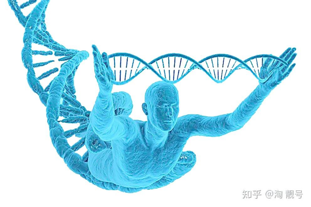 门罗钱包使用教程_钱包怎么使用门禁卡_钱包使用方法