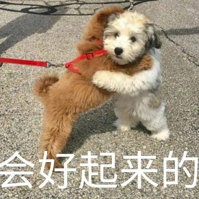 下载沙雕鹿手游_鹿模拟器(沙雕鹿)_沙雕鹿游戏手机版免费