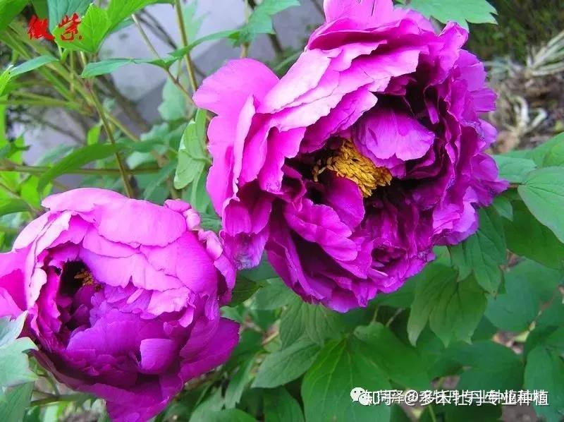 梅雨季节是什么_梅雨季节指的是哪个月_梅雨季节是几月份