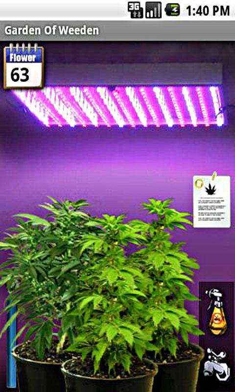 女生玩的手机种花游戏名_小女孩种花游戏_种花养花的游戏