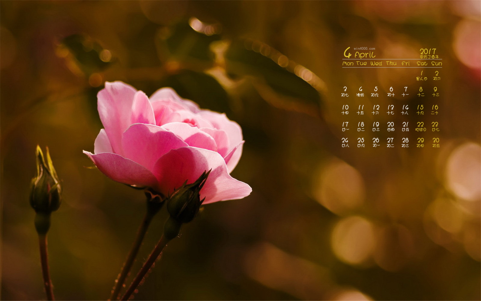 4月日历_日历月历_日历月份
