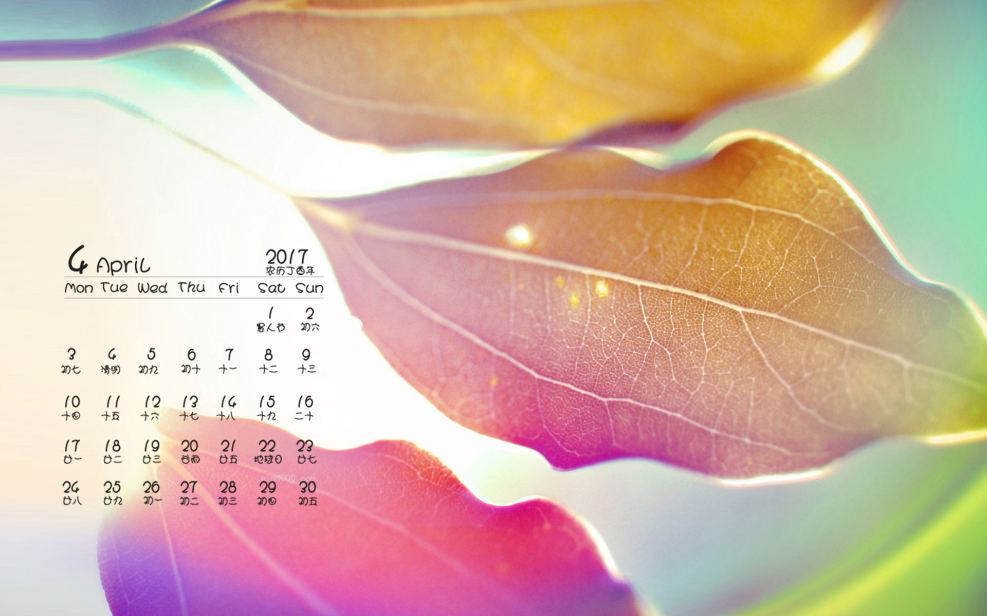 日历月历_4月日历_日历月份