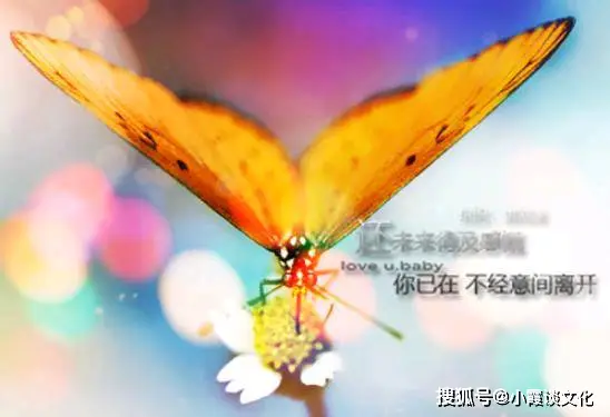 品色.堂_永远品色免费堂论坛_品色堂论坛