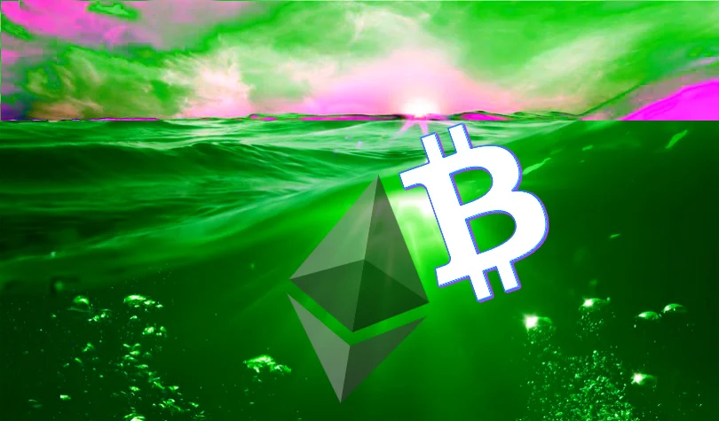 大葱行情今日价格_btc价格今日行情_玉米期货实时行情今日价格