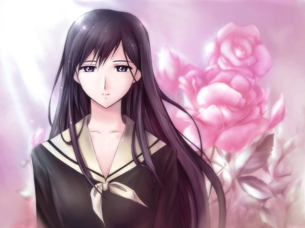 女王艾斯德斯_艾斯德斯女王_女王艾斯德斯对应什么动物